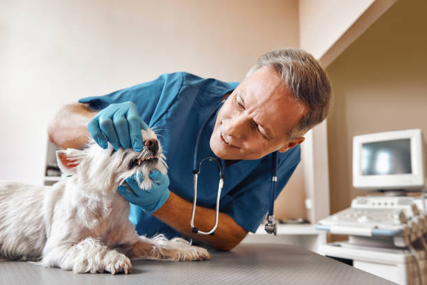 Best Emergency Tooth Extraction in Port Neches, TX