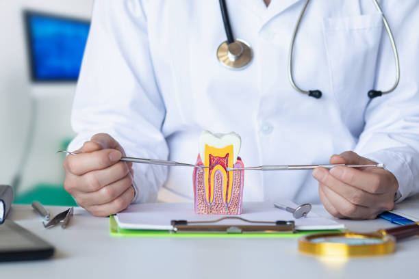 Best Urgent Care for Lost Fillings or Crowns in Port Neches, TX